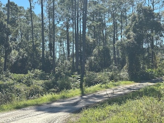 0 11th Ave Unit MFRS5136155, Deland, FL 32724