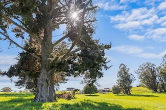 549 Fairview Ct, Petaluma, CA 94952