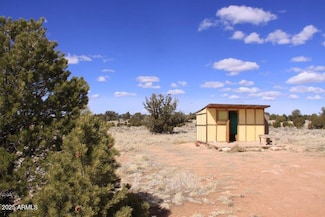 4137 E Crockett Dr Unit 252, Valle, AZ 86046