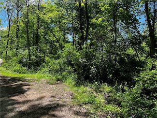 0 Lts Plantation Rd, Sissonville, WV 25312