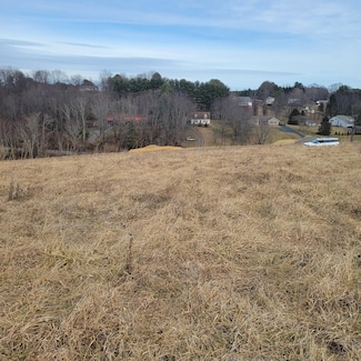 5255 Country Meadow Dr, Dublin, VA 24084