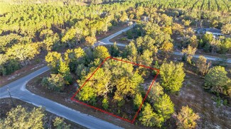 000 Malauka Loop Track, Ocklawaha, FL 32179