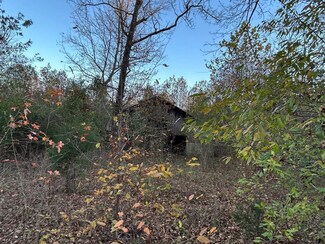 0 Harmon Creek Rd, Eva, TN 38333