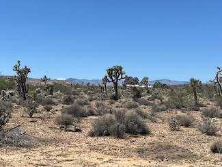 171 Yucca Mesa Rd, Landers, CA 92285