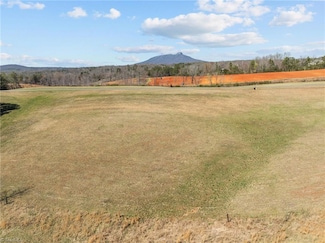 10 Acres Lot B Hauser Springs Rd, Pinnacle, NC 27043