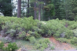 838 Red River Dr, Lake Almanor, CA 96137