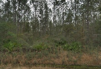 4255 Edward St, Flagler Estates, FL 32145