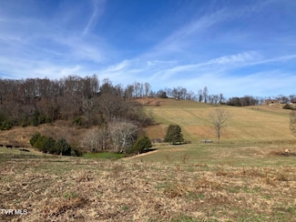 Tbd Methodist Ridge Rd, Telford, TN 37690