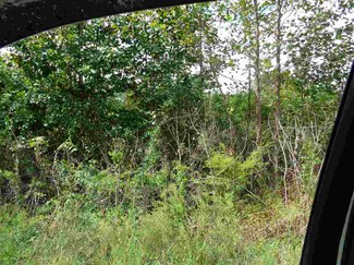 160 Spivey Creek Rd, Landrum, SC 29356