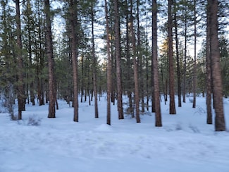 0 Saddleback Rd, Alturas, CA 96101