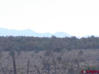 tbd Colorado 141, Redvale, CO 81431