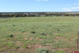 0 County Rd N Unit 757599, Dove Creek, CO 81320