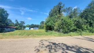 117 Osage Dr, Mabank, TX 75156