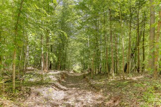 1736 Pinckney Rd, Chester, SC 29706