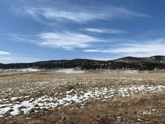 1255 Bolster Dr, Hartsel, CO 80449