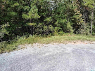 0 Wysteria Ln Unit 4 21385677, Sylacauga, AL 35151