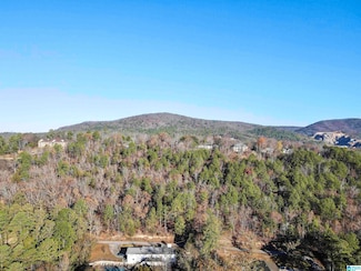 3049 Brentwood Dr Unit 7.1 acres, Oxford, AL 36203