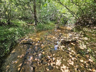 0 W James Anderson Hwy Unit 54208, Buckingham, VA 24553