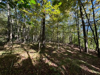 0 Gunn Rd, New Milford Township, PA 18834