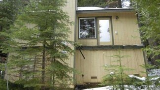 1171 Silver Tip Ln, Fish Camp, CA 93623