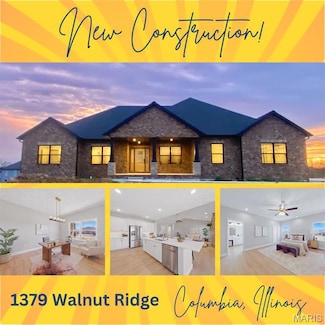 1379 Walnut Ridge Dr, Columbia, IL 62236