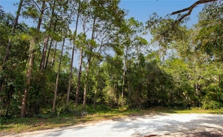7176 Norway St, Webster, FL 33597