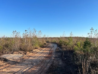 0 Hwy 14, Sawyerville, AL 36776