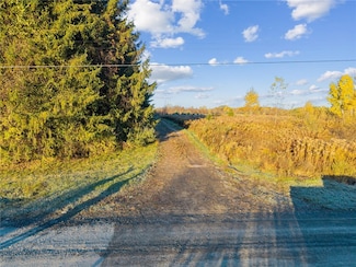 0 Cook Rd, Hector, NY 14886