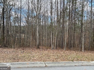 110 Anita Blvd, Mount Zion, GA 30117