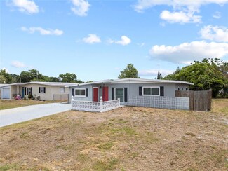 10602 Camelia Dr, Port Richey, FL 34668