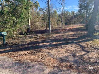 25270 Old Foley Rd, Elberta, AL 36530
