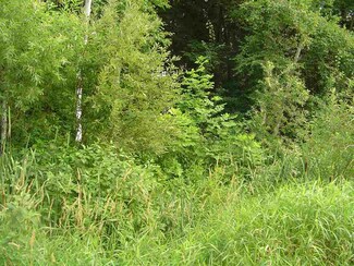 0 Indian Trail Rd Unit 1788956, Frankfort, MI 49635