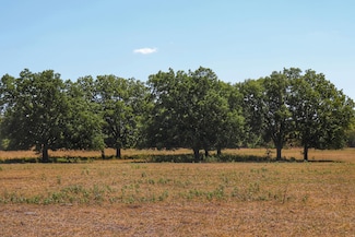 823 Farm To Market Road 2114, Laguna Park, TX 76634