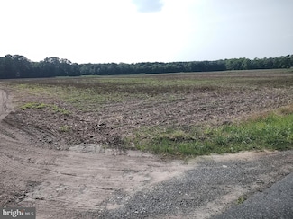 0 Rounds Rd, Pittsville, MD 21850