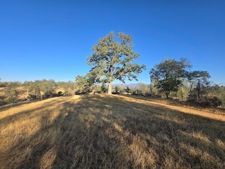 0 Lower Coal Pit Rd Unit 25-4389, Igo, CA 96047