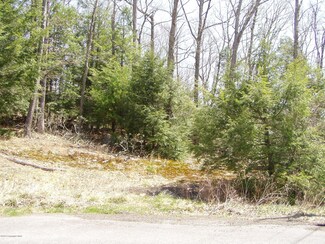 Lot 56 High Rd, Cresco, PA 18326