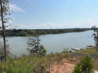 0 Lake Point Dr Unit 306 21431290, Lincoln, AL 35096