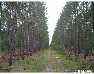 0 River Rd, Trego, WI 54888