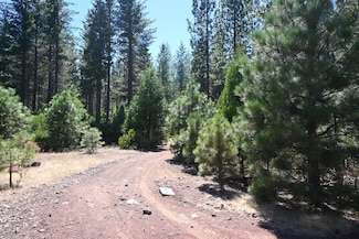 014 Chad Ct, Burney, CA 96013