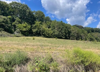 1700 Hurricane Creek Rd, Lawrenceburg, TN 38464