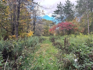 Lot 4 Wart Rd, Orwell, NY 13426