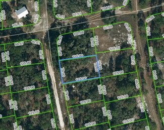 221 Fascination Dr, Lake Placid, FL 33852