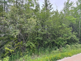 9 acres Brevort Lake Rd, Brevort Township, MI 49760