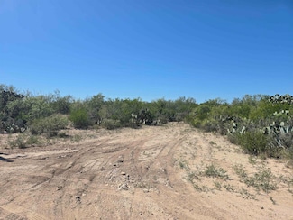 0 Abst 1293 Sur 1739 Unit 20254520, Laredo, TX 78043