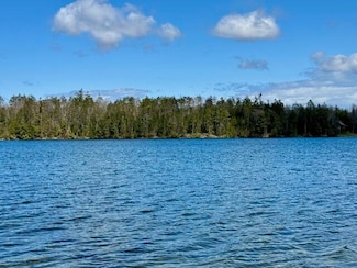 XXX Hiawatha Dr, Aloha Township, MI 49721