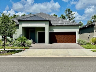 10864 Banyan Breeze Blvd, Land O' Lakes, FL 34638
