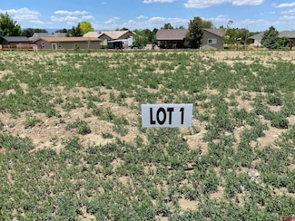 Lot 1 6700 Rd, Montrose, CO 81401
