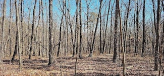 0 Bluff View Dr W, Dunlap, TN 37327