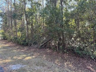 42 Eagle Neck Dr NE, Townsend, GA 31331