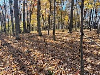 32.18 acres Monarch Ave, Kendall, WI 54638